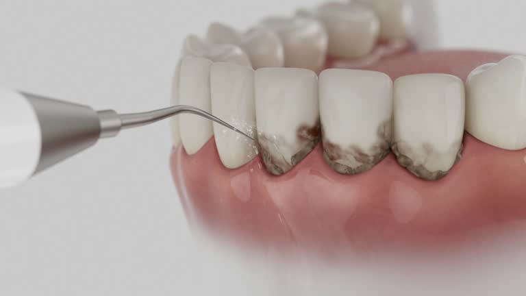 Reliable Dental contractor in Cottonport, LA by Dentist Open Now